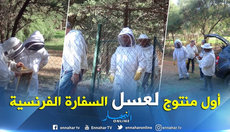 بالصور.. غزافيي دريانكور يحصد أول منتوج عسل من تربية النحل في السفارة