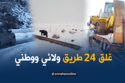 الثلوج تحاصر 11 ولاية