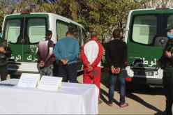 غليزان: الإطاحة بشبكة مختصة في سرقة المواشي واسترجاع 60 رأسا من الغنم