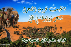 تاغيت عروس الصحراء تسحر زوارها في ظل غياب المرافق السياحية