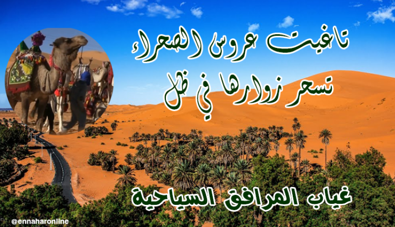 تاغيت عروس الصحراء تسحر زوارها في ظل غياب المرافق السياحية