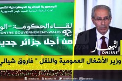 شيعلي لـ”النهار أونلاين”: الدولة ستدعم الجوية الجزائرية والنقل البحري لإنقاذهما من الافلاس
