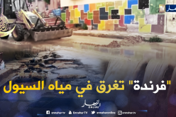 الأمطار تخلف سيول و فيضانات عبر عديد الأحياء بفرندة في تيارت