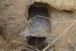 وزارة الثقافة تعلن عن إكتشاف لوحة فسيفسائية جديدة بنقرين في تبسة