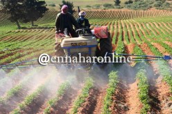 الموافقة على 1000 ملف لحفر آبار عميقة للسّقي الفلاحي بخنشلة