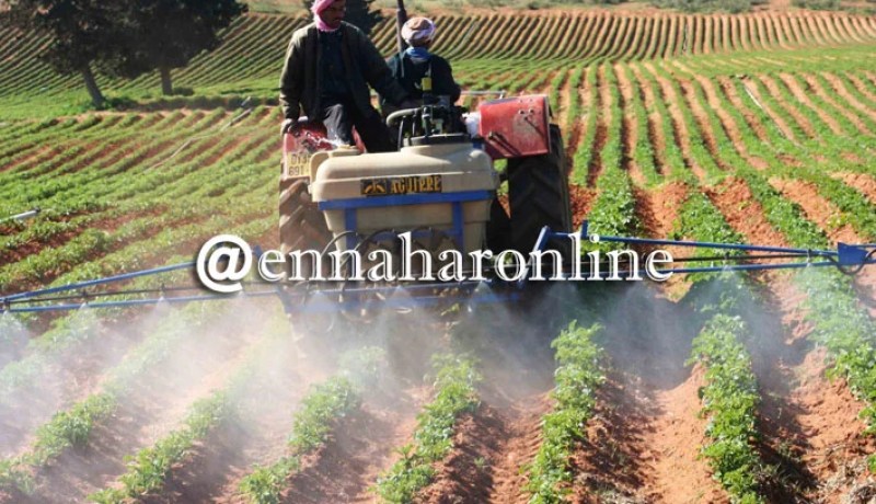 الموافقة على 1000 ملف لحفر آبار عميقة للسّقي الفلاحي بخنشلة