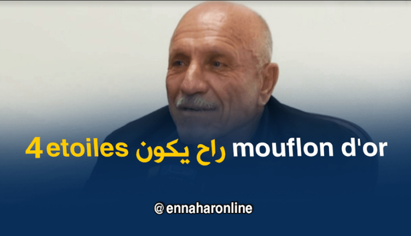 بعد عملية الترميم.. فندق الأروية الذهبية سيصبح 4 نجوم