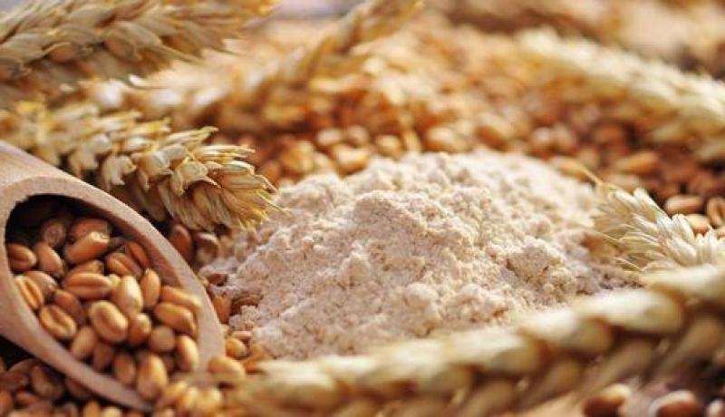 الجزائر تشتري 540 ألف طن من القمح المطحون في مناقصة دولية