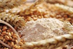 الجزائر تطرح مناقصة دولية لشراء 40 ألف طن من الذرة