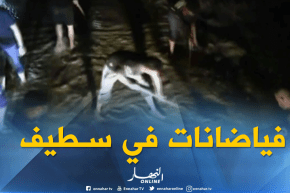 سطيف :  إجتياح مياه الفياضانات برمادة ببلدية عين لحجر