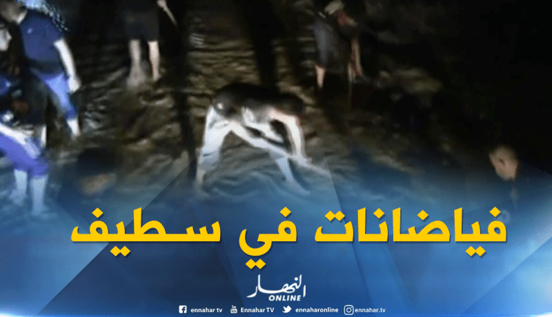 سطيف :  إجتياح مياه الفياضانات برمادة ببلدية عين لحجر