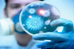 تسجيل أول إصابة بفيروس كورونا في الأردن