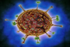 أخطر من كورونا ويسبب ضعف التنفس وتورم الدماغ.. فيروس “نيباه” يهدد العالم