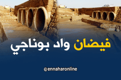 فقدان 4 أشخاص جراء فيضان وادي في البيض