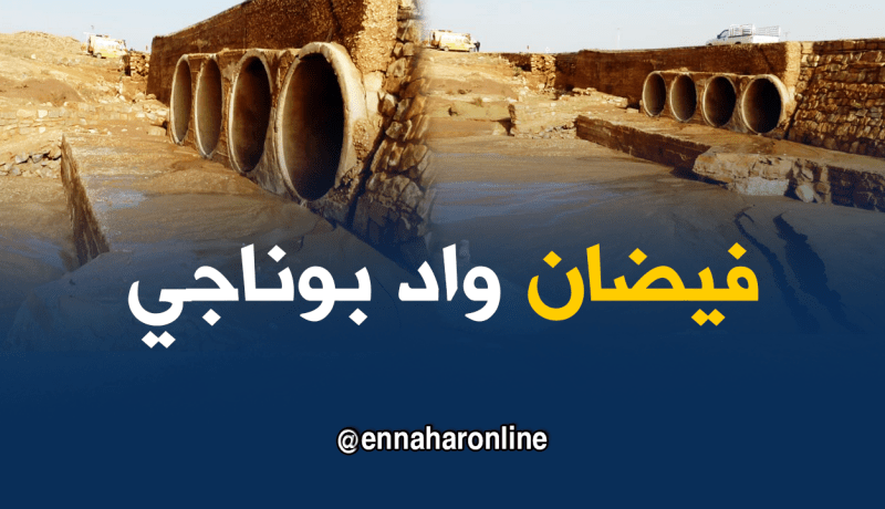 فقدان 4 أشخاص جراء فيضان وادي في البيض