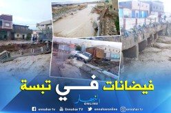 بالصور.. فيضانات بتبسة تتسبب في سقوط جسور