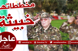 قايد صالح: “تم ضبط منظمات غير حكومية مكلفة باختراق المسيرات السلمية”