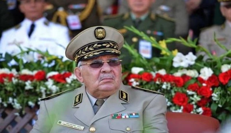 قايد صالح يتفقد الوحدات العسكرية بتمنراست