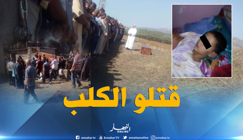 بالصور.. وفاة طفل بعدما هاجمه كلب مسعور بتيبازة