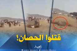 بالفيديو.. عرس يتحول إلى مأتم بسبب دهس الحصان لوالد العريس بميلة
