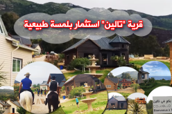 تعرف على قرية ” تالين ” كاليفورنيا الجزائر