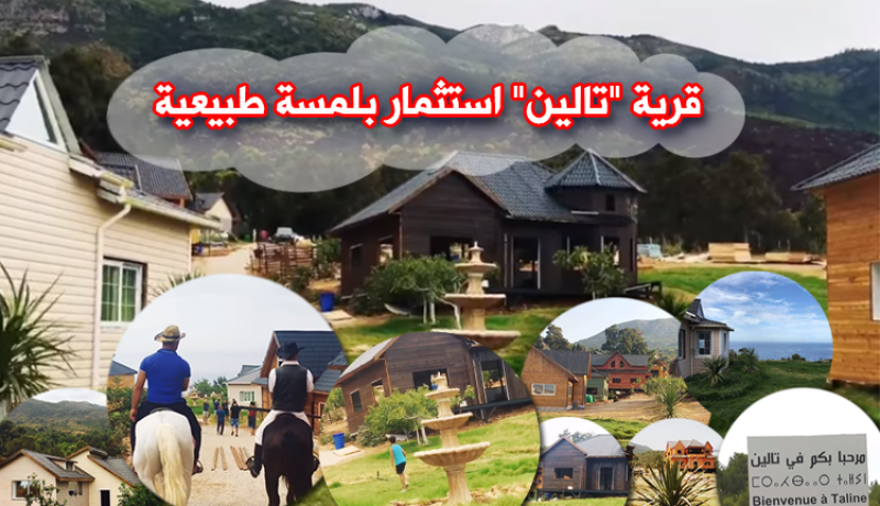تعرف على قرية ” تالين ” كاليفورنيا الجزائر