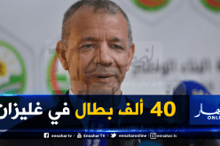 بن قرينة: ولاة فاسدون يمتلكون أحصنة وسيارات تتجاوز قيمتها 700 مليون