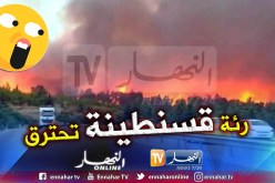 بالفيديو والصور.. جبل الوحش يحترق واللهب يحاصر الطريق السيار