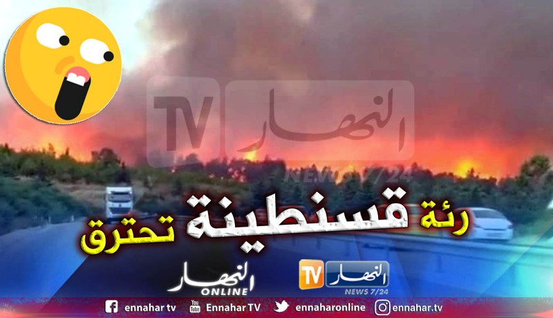 بالفيديو والصور.. جبل الوحش يحترق واللهب يحاصر الطريق السيار