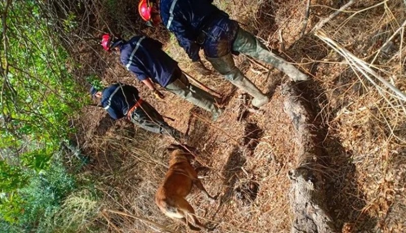 قسنطينة.. العثور على جثة شخص بوادي الرمال يُرجح أن تكون للشاب المفقود
