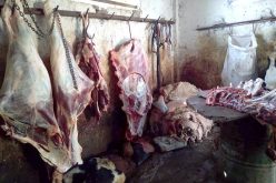 حجز أكثر من نصف طن لحوم غير مراقبة داخل مذبح معتمد في قسنطينة !