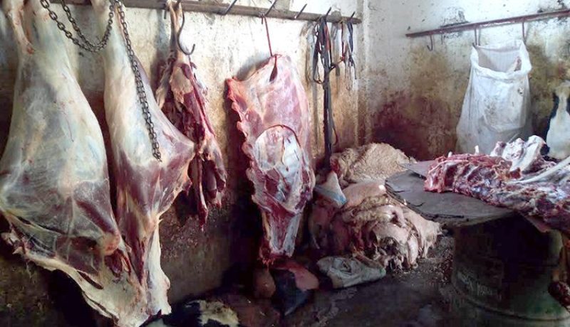 حجز أكثر من نصف طن لحوم غير مراقبة داخل مذبح معتمد في قسنطينة !