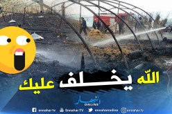 قسنطينة.. حريق يتلف 2400 كتكوت بعين اعبيد