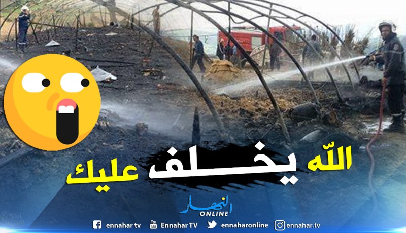 قسنطينة.. حريق يتلف 2400 كتكوت بعين اعبيد