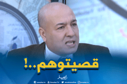 شعابنة.. الحكومة الجديدة همشت الإطارات الجزائرية بالمهجر