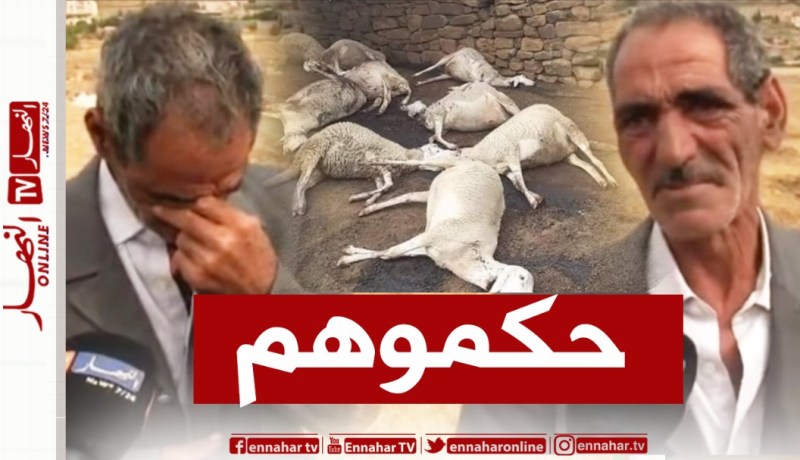 المسيلة.. الدرك يوقف 3 مشتبه فيهم بذبح 58 رأسا من الغنم بقرية الذريعات