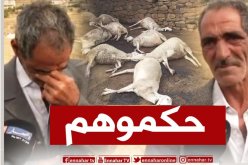 المسيلة: 3سنوات حبسا نافذا و170 مليون سنتيم تعويض في حق ذابحي الأغنام بالدريعات