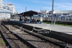 إعادة تأهيل كل خطوط السكك الحديدية المعطلة