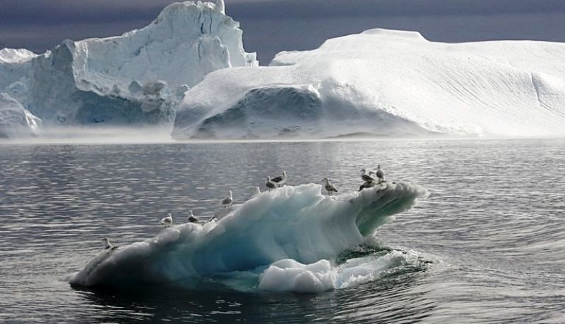 حرارة القطب الجنوبي ترتفع بأكثر من ثلاثة أضعاف من بقية العالم