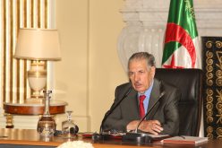 صالح قوجيل: المشاركة في رئاسيات 12 ديسمبر سيكون من أجل الجزائر