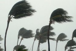 هبوب رياح قوية على 11 ولاية