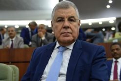 قيتوني: رفع حصة الكهرباء بنسبة 27 بالمائة