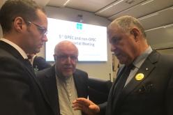 تعيين مصطفي قيطوني نائبا لرئيس منظمة أوبك