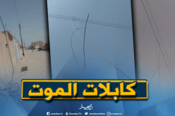 سقوط كابلات الموت من الشبكة الرئيسية تهدد حياة سكان الهمايسة بالوادي