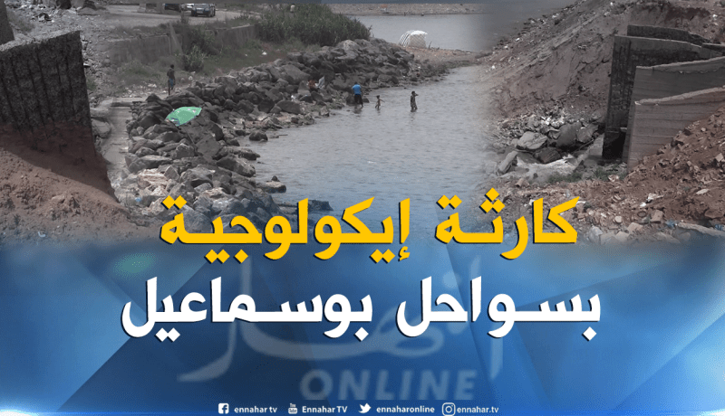 كارثة بيئية.. مصانع تلوث شواطئ بوسماعيل ولا أحد يتحرك