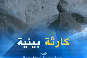 مجتمع: الواجهة البحرية لبوسماعيل..كارثة بيئية بسبب المصانع