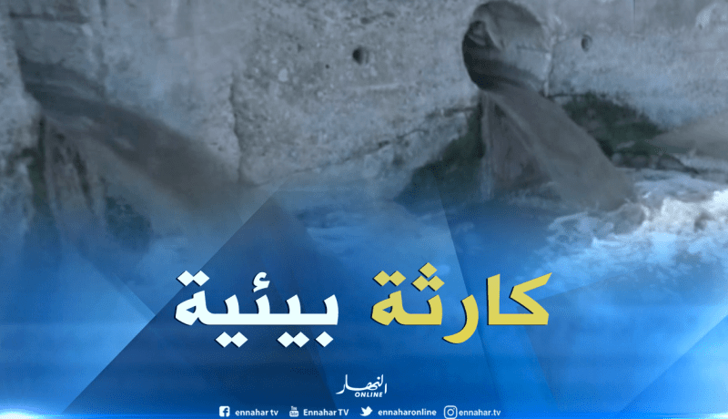 مجتمع: الواجهة البحرية لبوسماعيل..كارثة بيئية بسبب المصانع