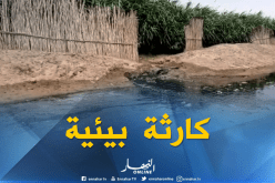 كارثة بيئية خطيرة تهدد المحاصيل الزراعية في بلدية بن ناصر بن شهرة بالأغواط
