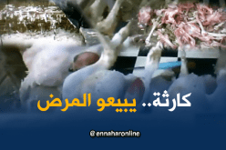 باعة “الداند ” بمقطع خيرة يخاطرون بصحة المواطنين بسبب الضّرائب