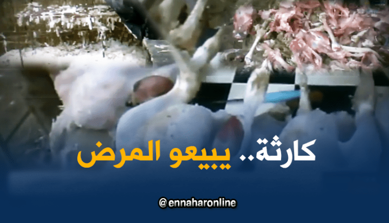 باعة “الداند ” بمقطع خيرة يخاطرون بصحة المواطنين بسبب الضّرائب